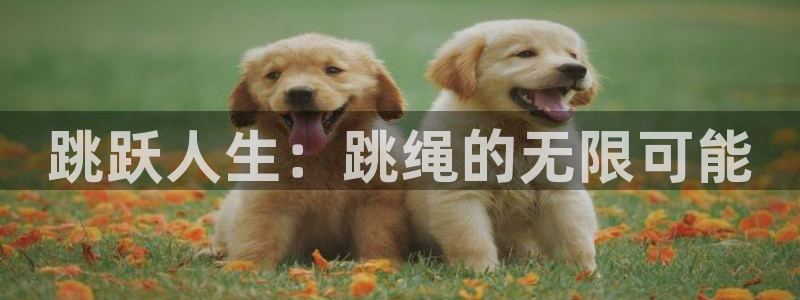 中欧体育(zoty)官网