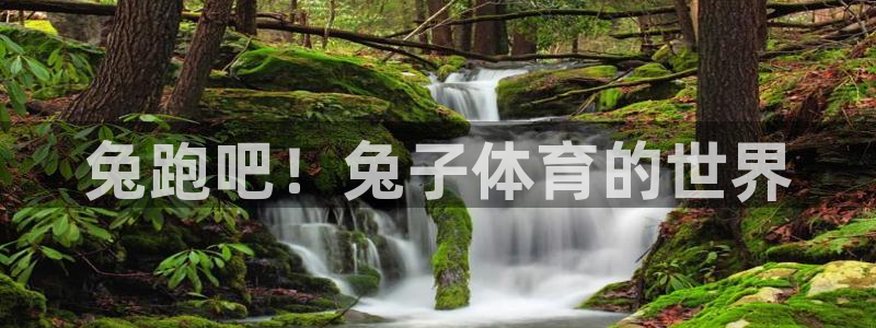中欧体育集团