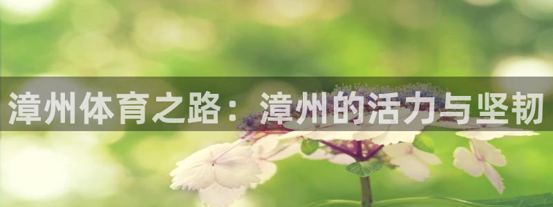中欧体育官网入口