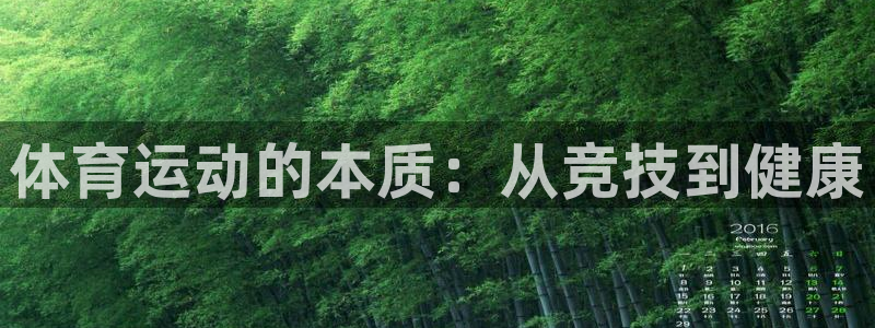 kok中欧体育登录