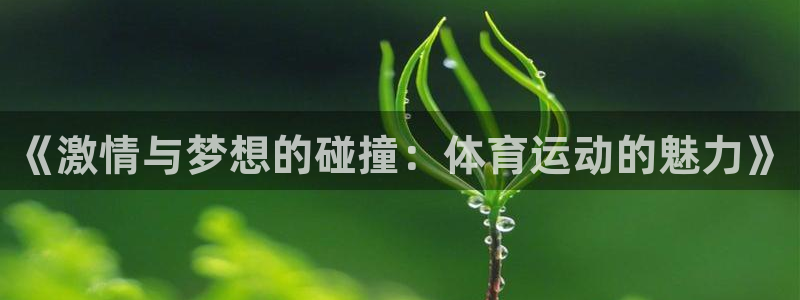 中欧体育kok