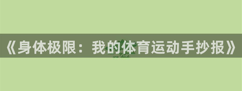 kok新版中欧体育
