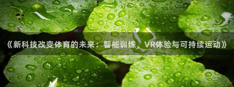 中欧体育在线