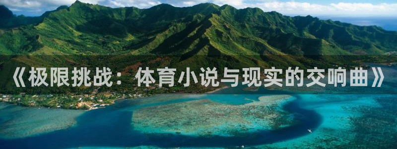 中欧体育kok官网首页