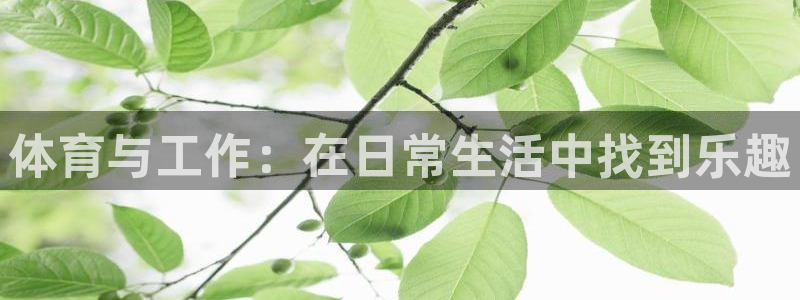 中欧体育kok