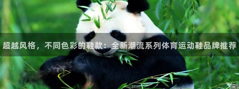 中欧体育登录