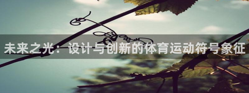 kok中欧体育登录