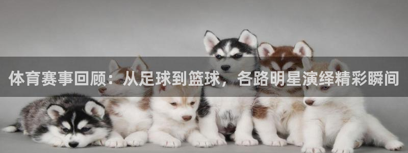 中欧体育下载