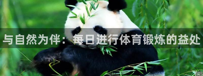 kok新版中欧体育