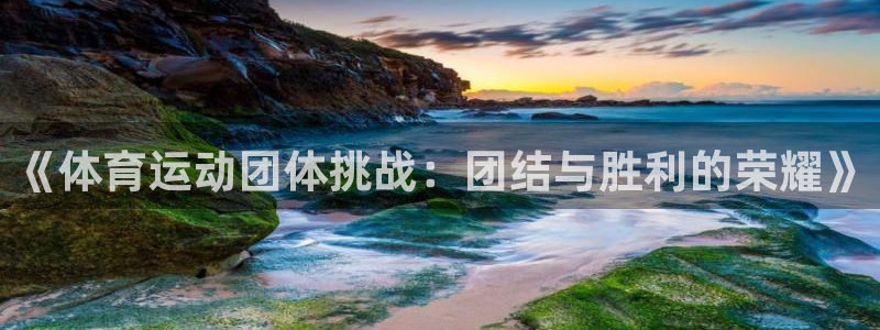 中欧体育app